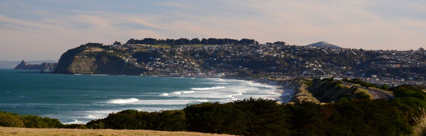 Ocean Beach from Lawyers Head