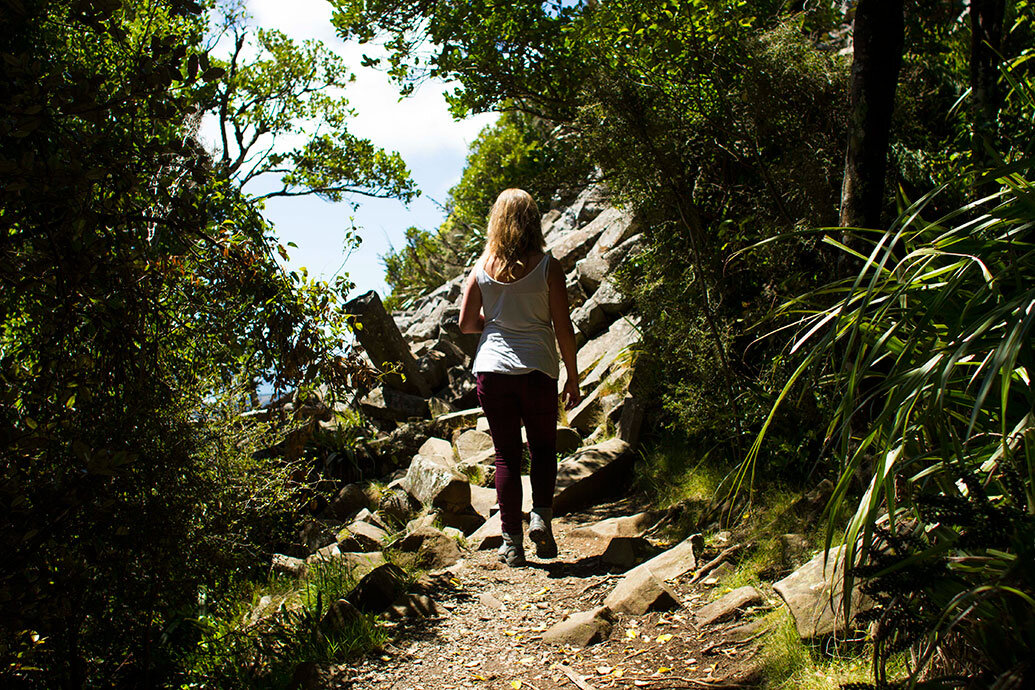 The Organ Pipes