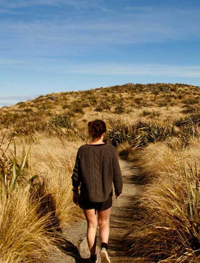 Pineapple Track