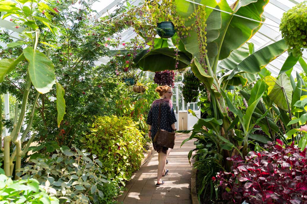 Greta’s big weekend at the Botanic Garden