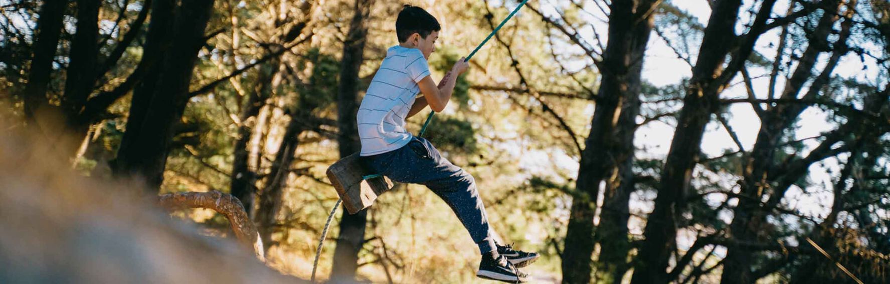 Hidden rope swings of Dunedin