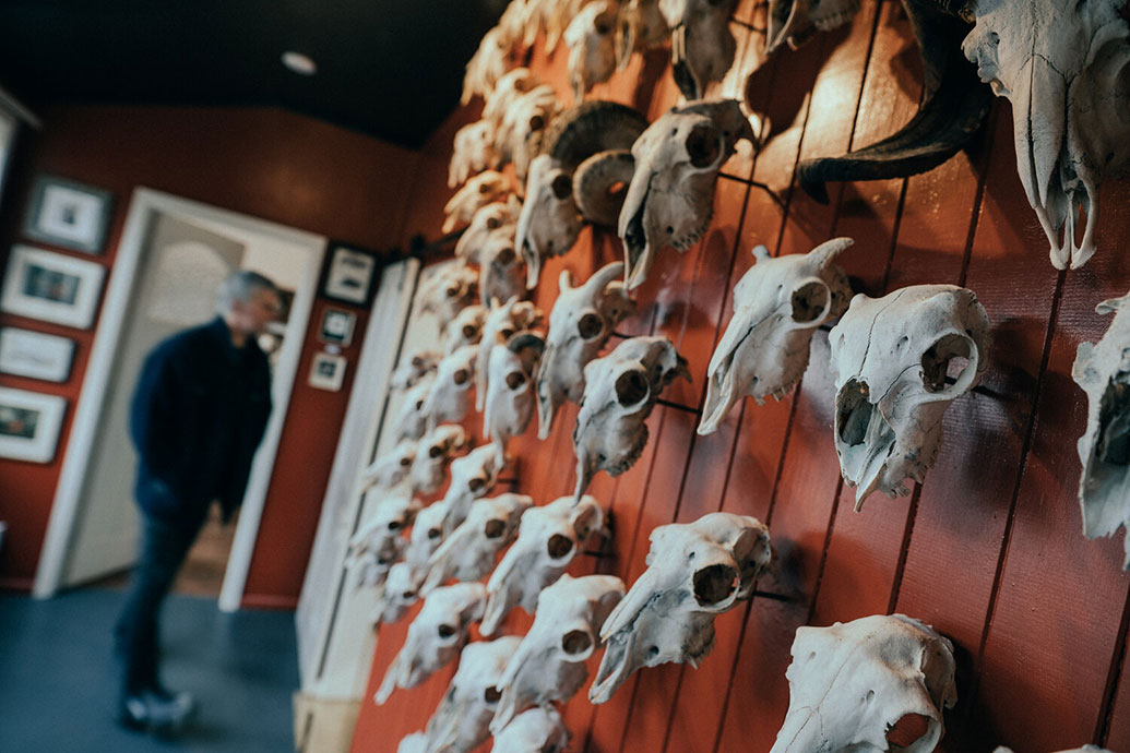 Museum of Natural Mystery Museum of Natural Mystery