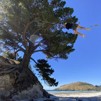 Choose your Mapoutahi Adventure
