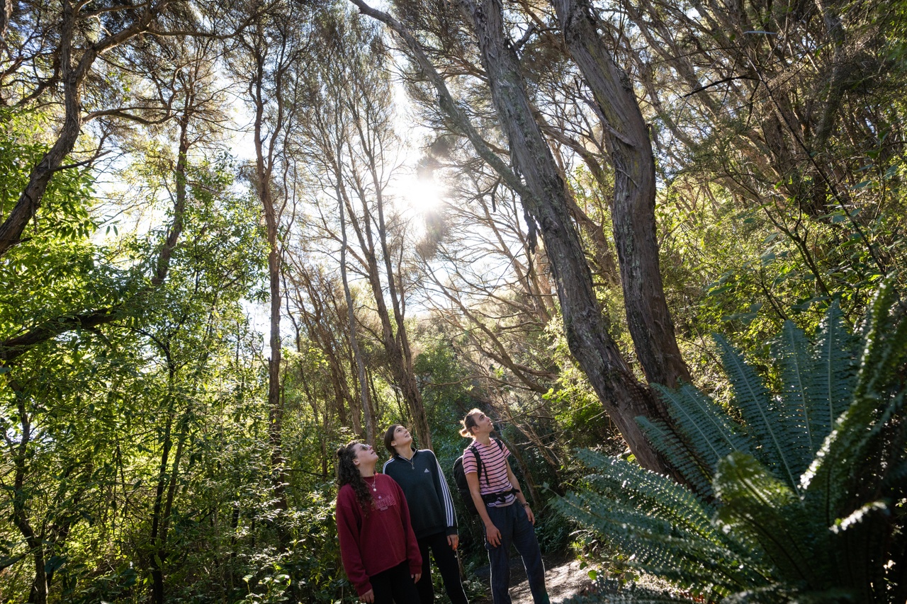 Dunedin Deals Ōtepoti Dunedin New Zealand official website