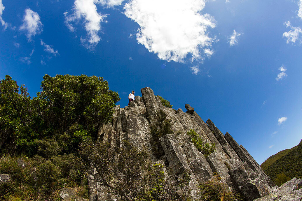 The Organ Pipes