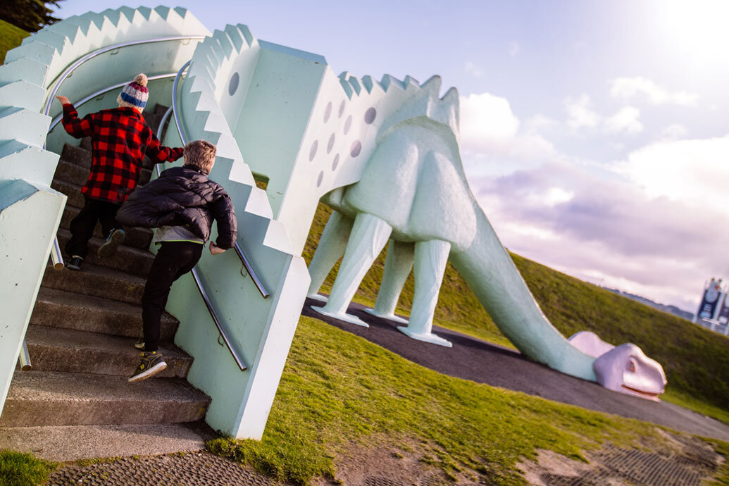 The best slides in Dunedin 