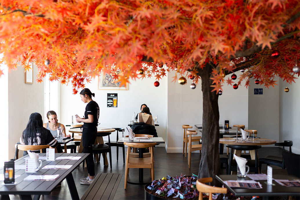 takeichi-1.jpg Takeichi – under the maple tree