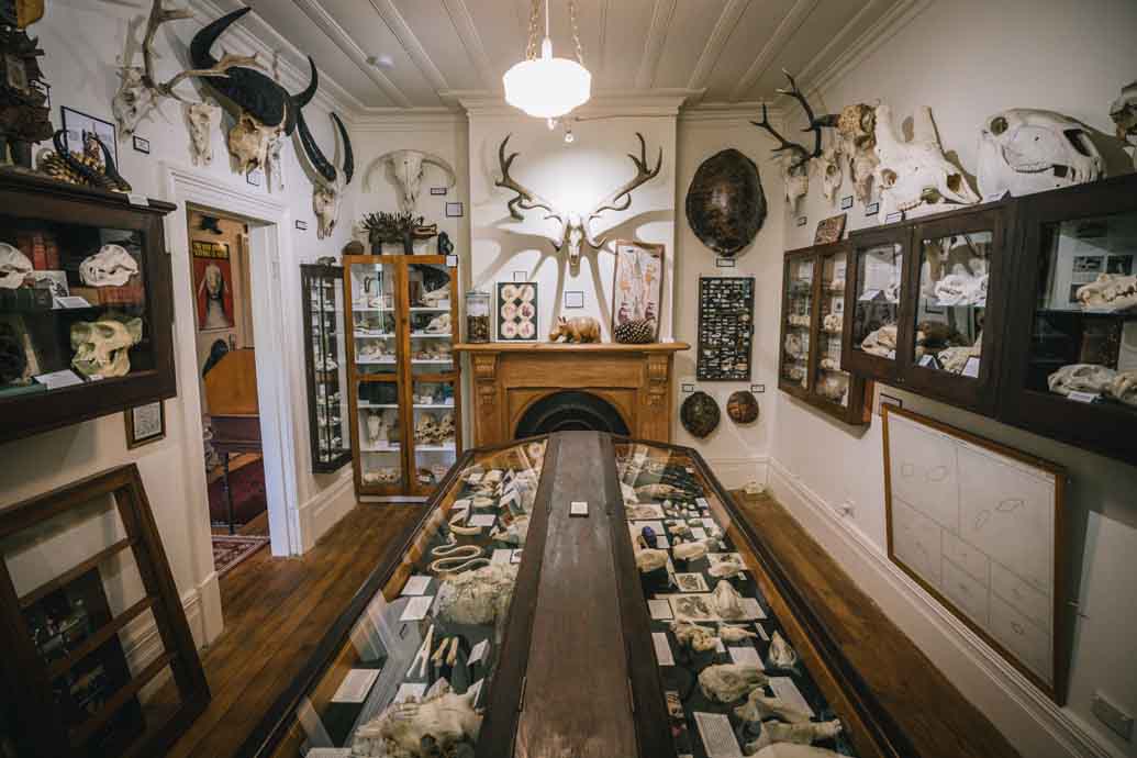 The Museum of Natural Mystery The Museum of Natural Mystery