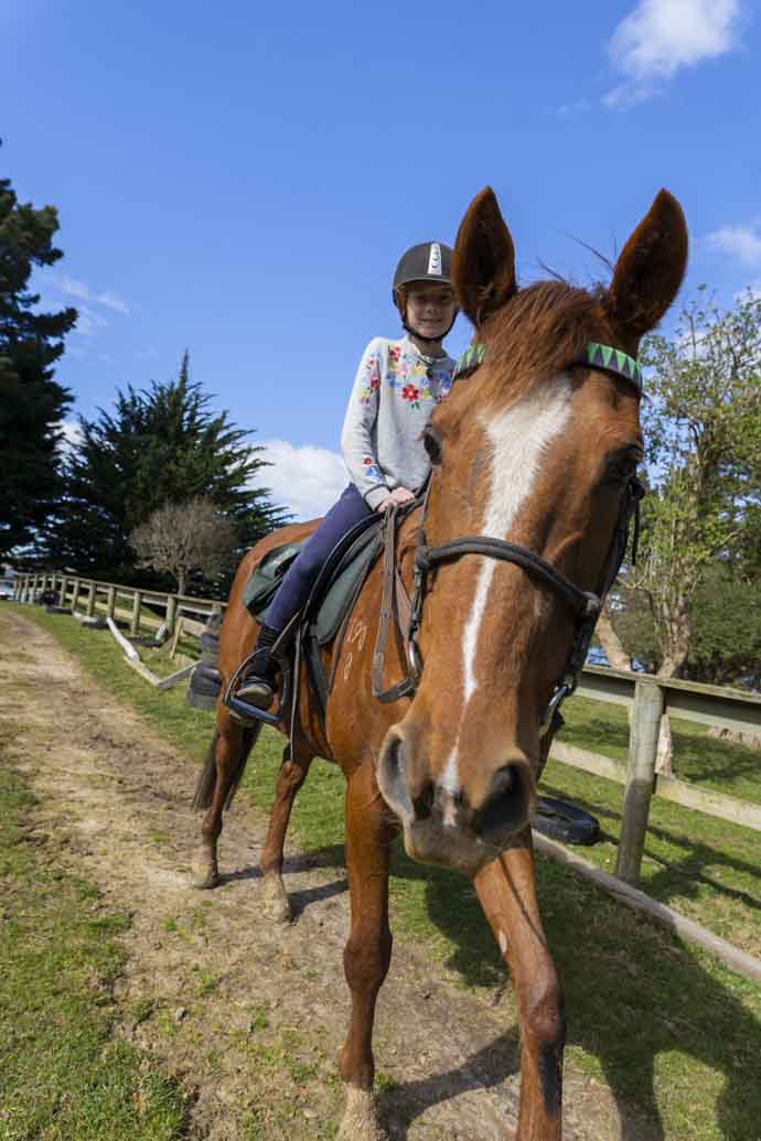 Hare Hill Horse Treks