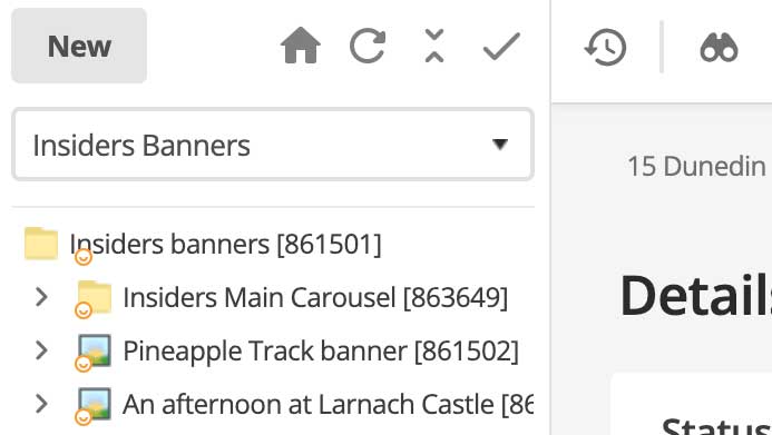 Asset tree Insiders banners