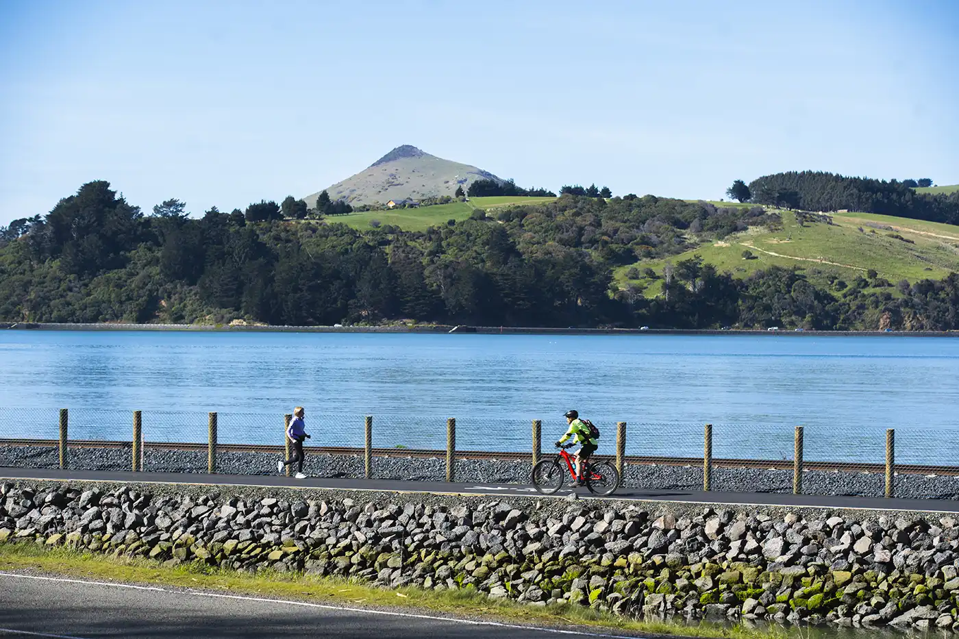 Te Aka Ōtākou