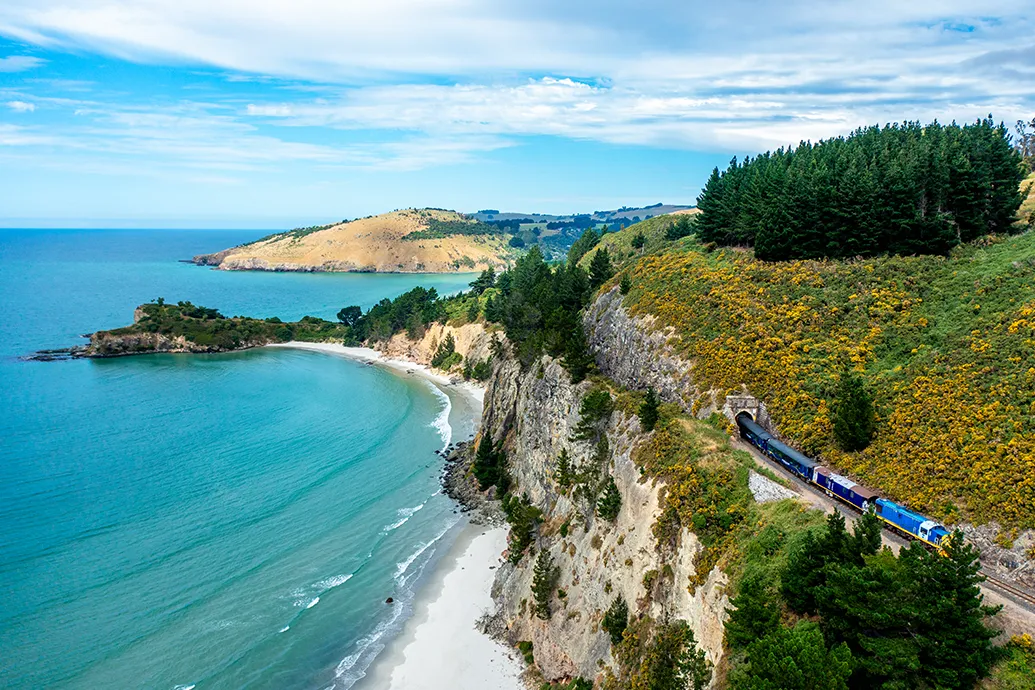 Dunedin Railways 
