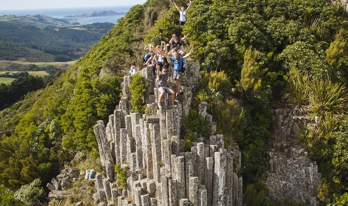 Organ Pipes