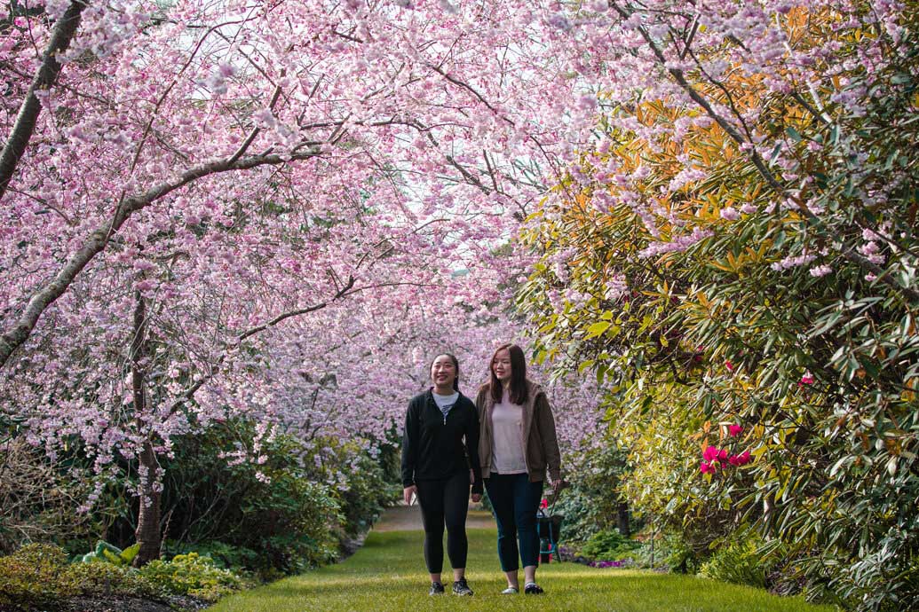 Greta’s big weekend at the Botanic Garden