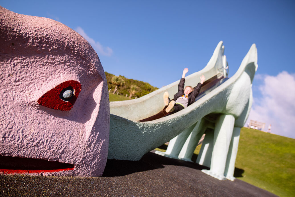 The best slides in Dunedin 