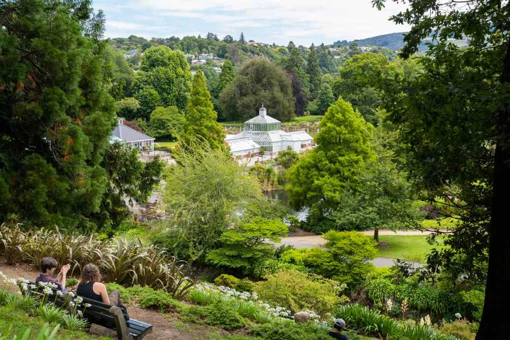 Dunedin Botanic Garden People lit on the terraces of the upper garden overlooking the lower garden.