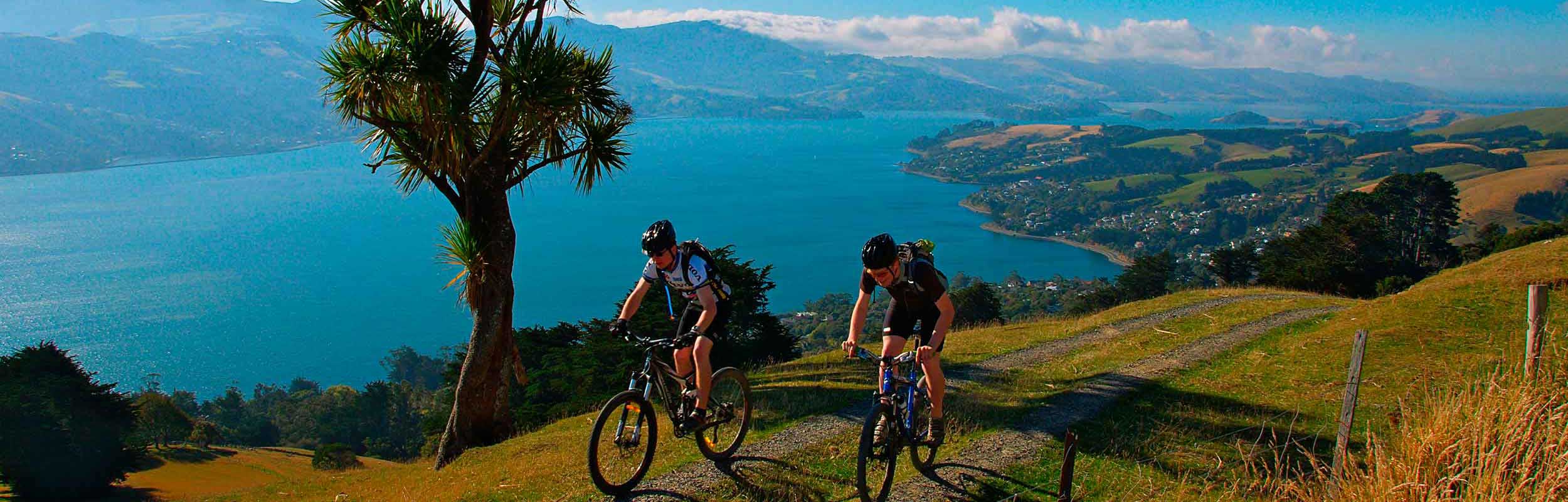 otago peninsula bikeride