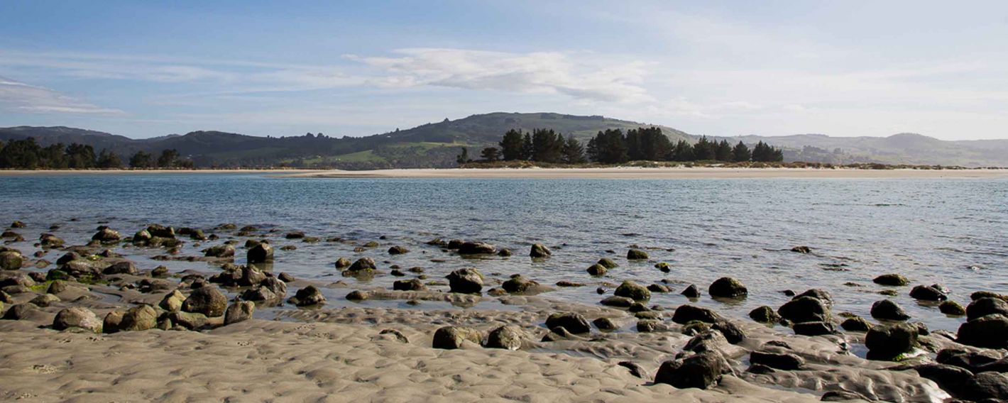 Blueskin Bay and Waitati