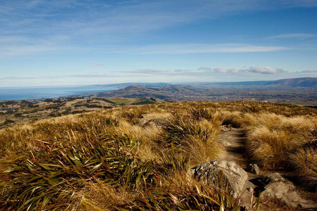 Pineapple Track