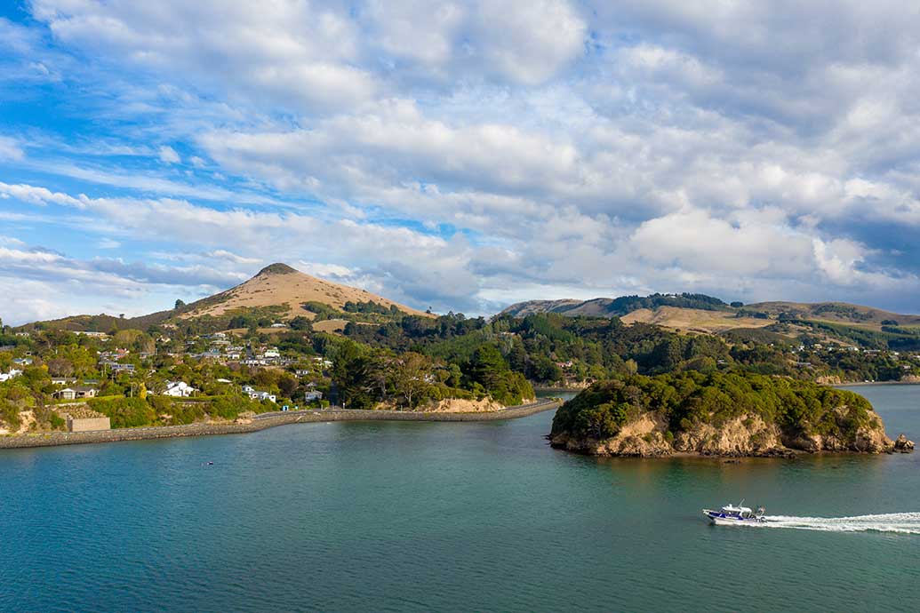 An island holiday - in Dunedin