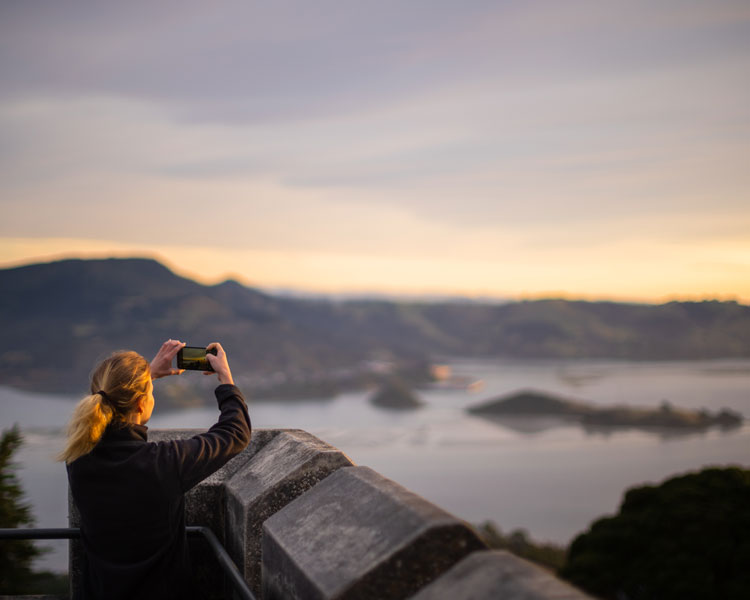 Larnach Castle Sunrise