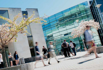 Study Dunedin Brochures