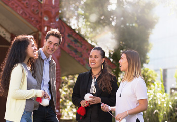 Factors to consider when choosing Dunedin