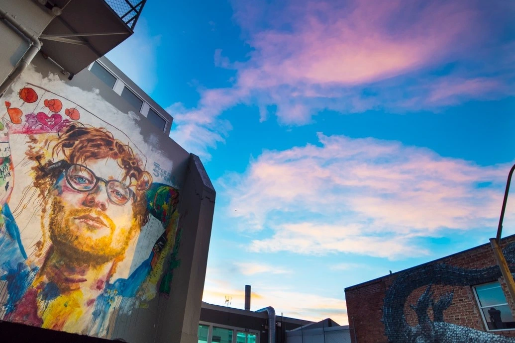 A watercolour mural of music artist Ed Sheeran on a wall to the left and another mural of a tuatara to the bottom right, underneath a twilight sky.