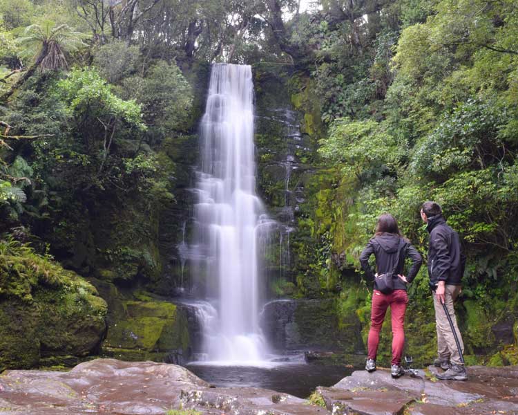 McLean Falls banner