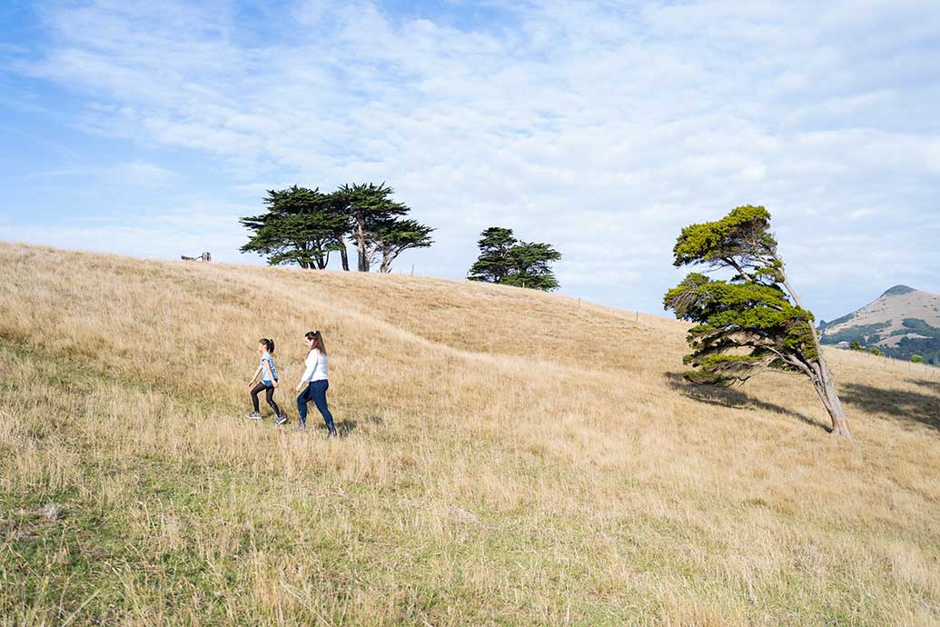 An island holiday - in Dunedin