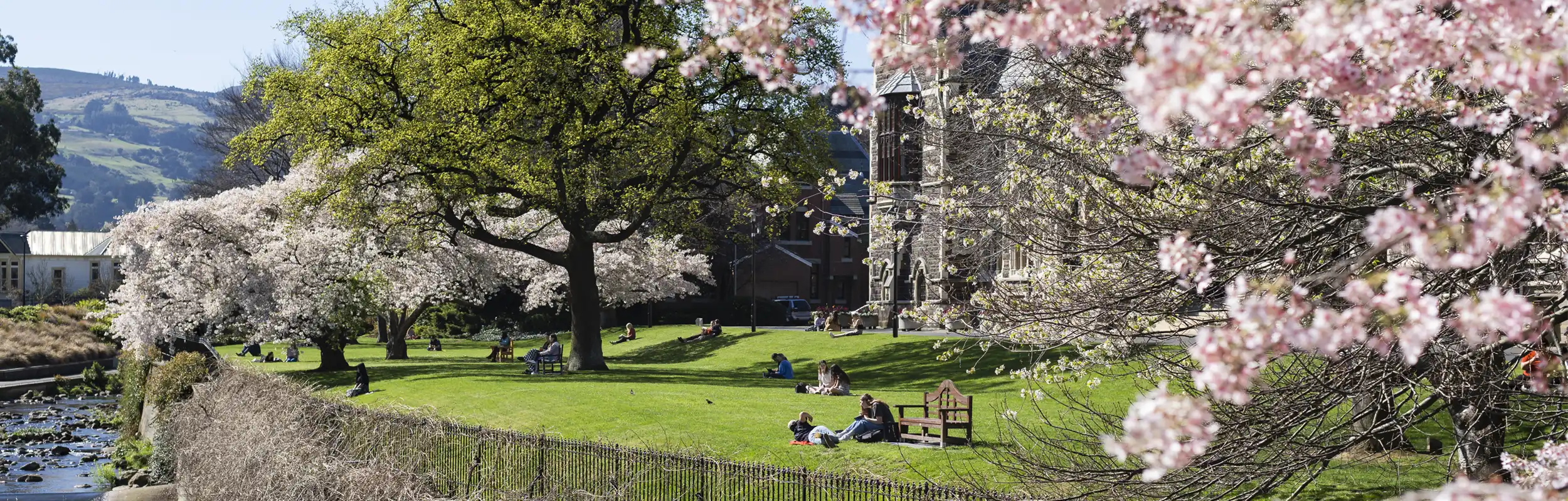 Spring Seasonal Guides