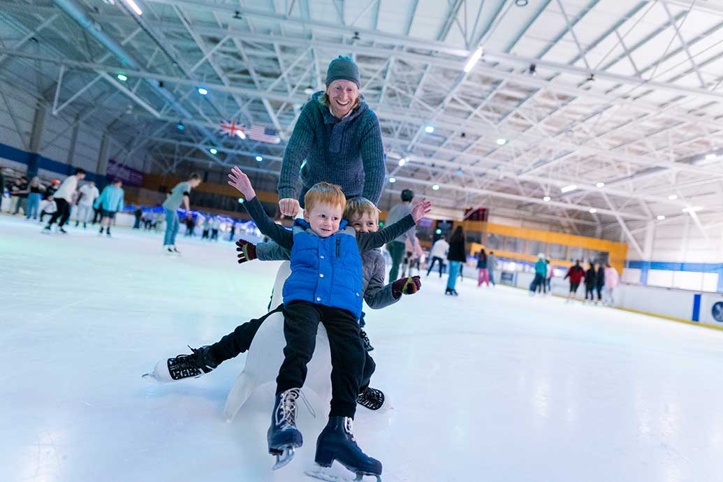 Dunedin Ice Stadium