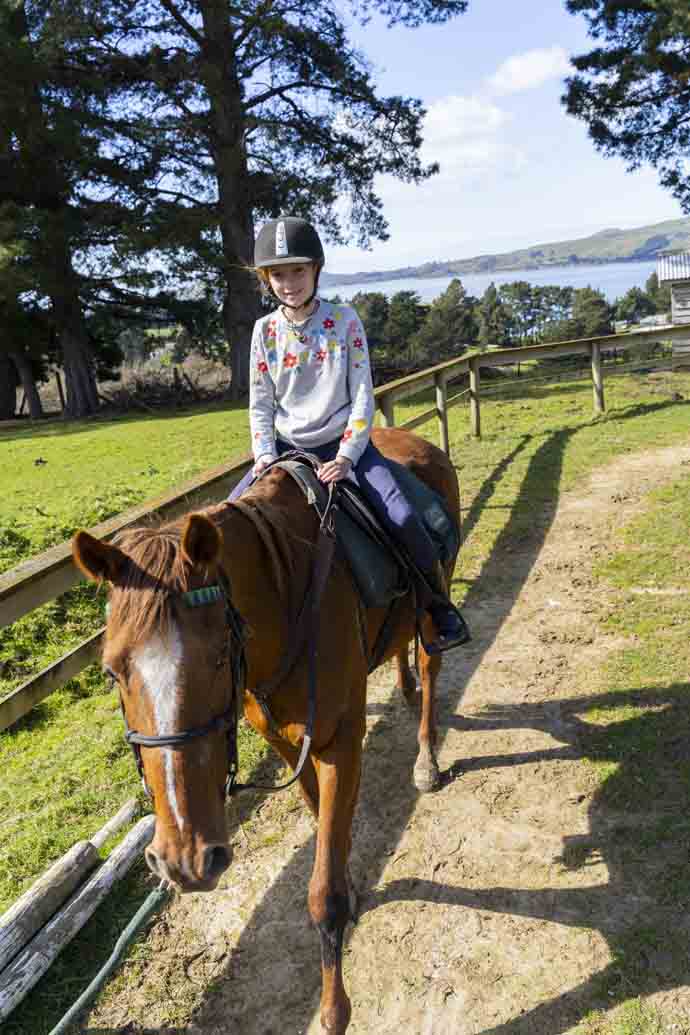 Hare Hill Horse Treks