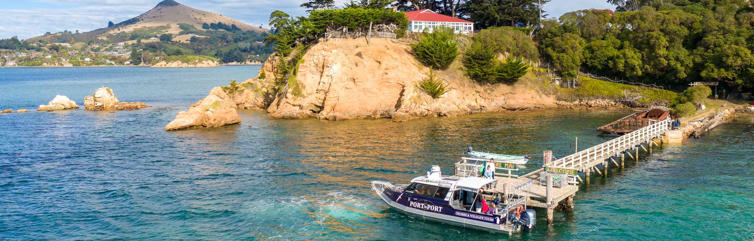 An island holiday - in Dunedin