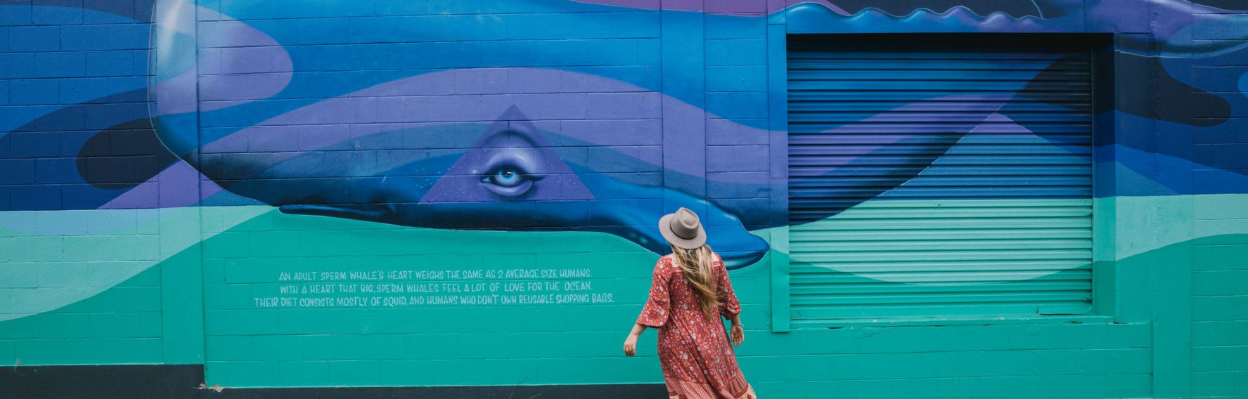 Dunedin Street Art - Kelly Spencer Dunedin Street Art - Kelly Spencer