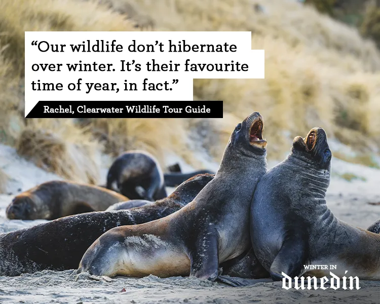 Wildlife