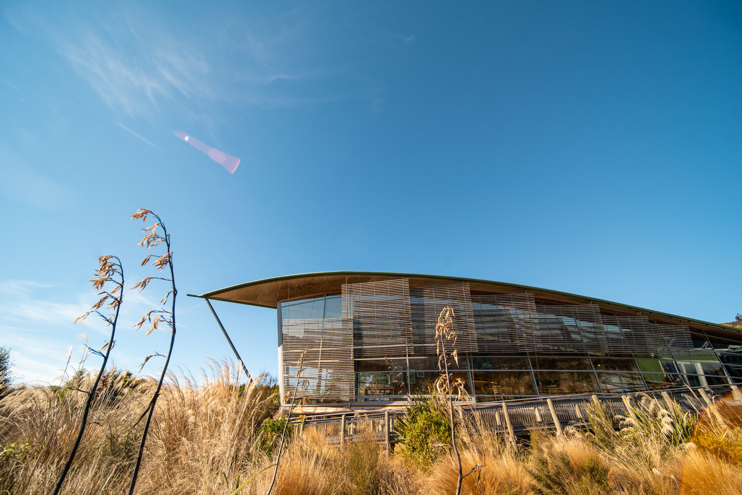 orokonui-ecosanctuary-1.jpg Orokonui Ecosanctuary