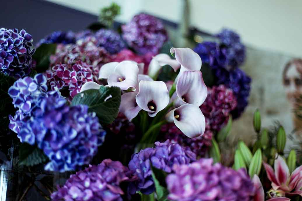 estelle-flowers-4.jpg Estelle Flowers
