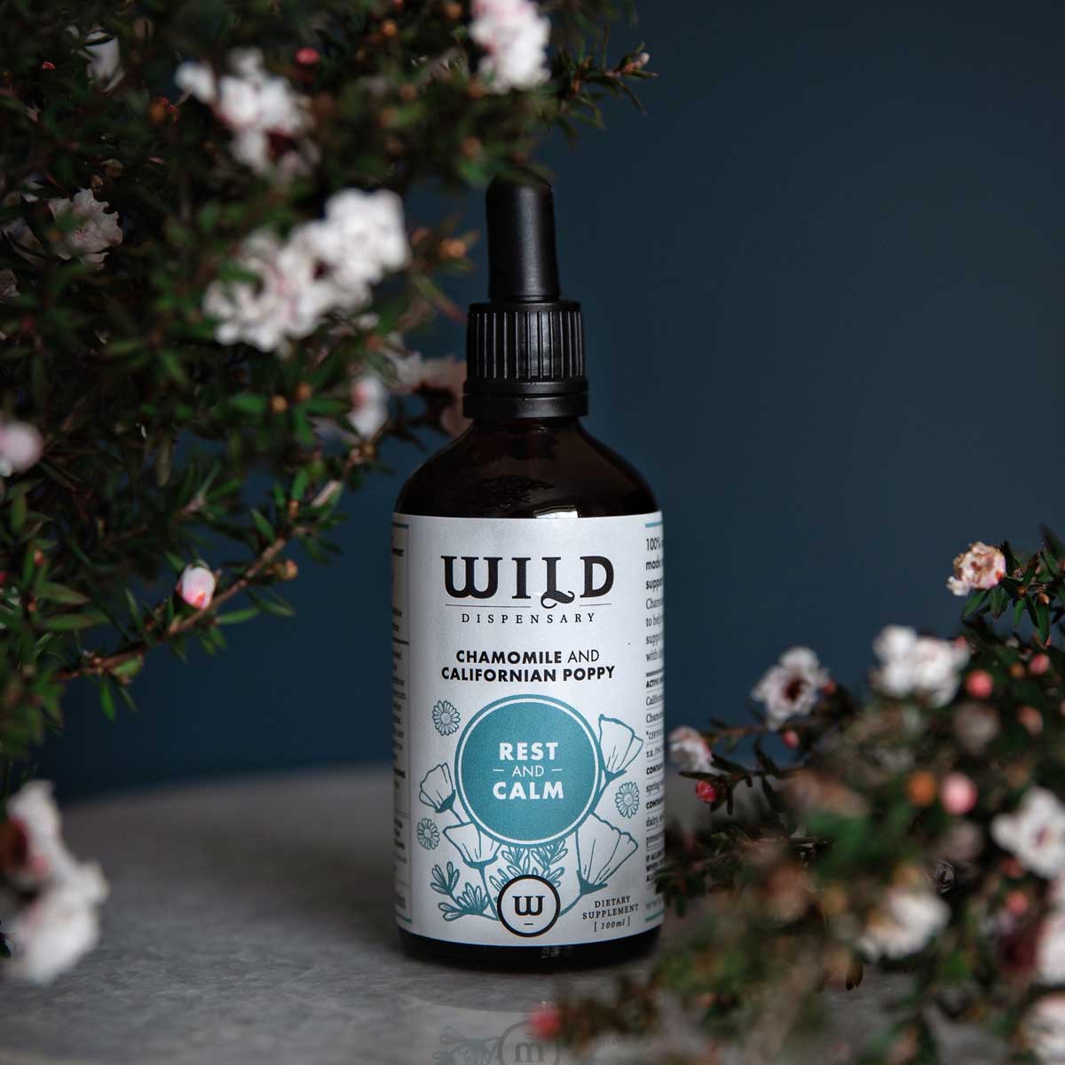 Wild Dispensary Wild Dispensary