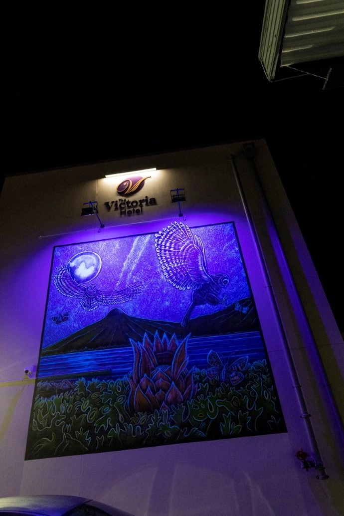 Street Art Trail UV mural A UV paint mural lit up at night by blacklight depicts a noctural scene.