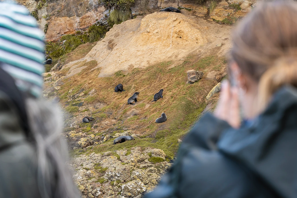 ss2.webp Clearwater Wildlife Tours