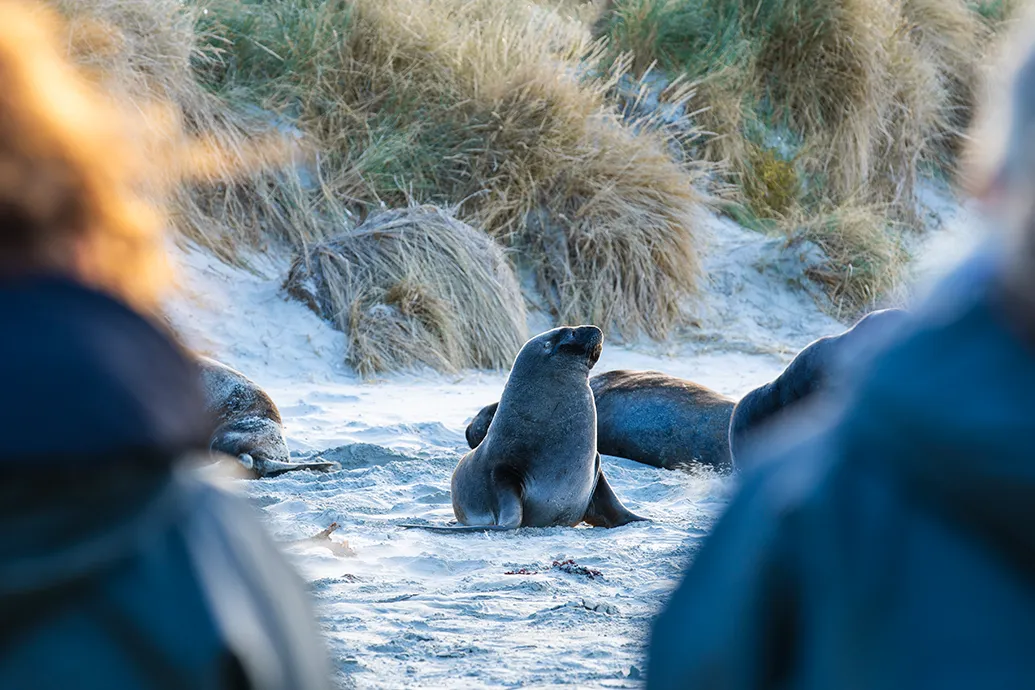 Clearwater Wildlife Tours