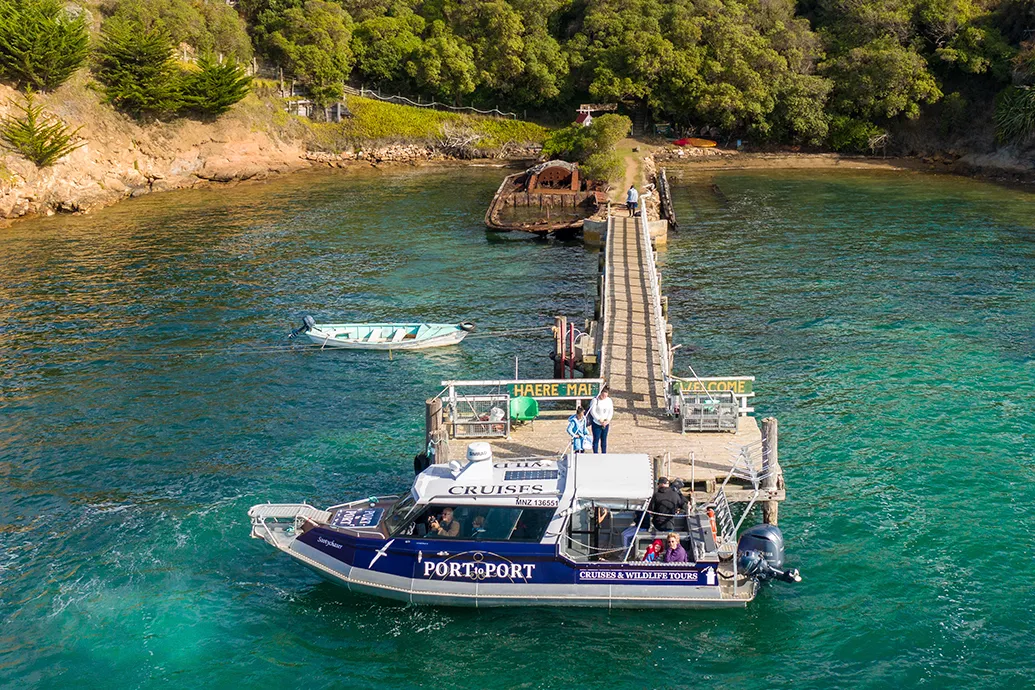 Port to Port Wildlife Tours