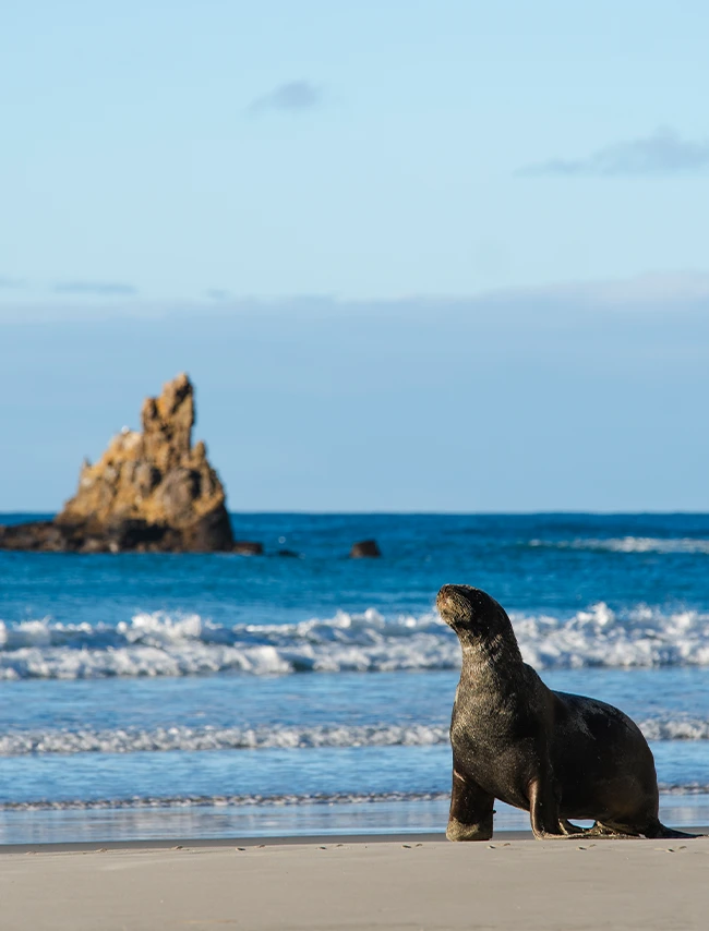Clearwater Wildlife Tours