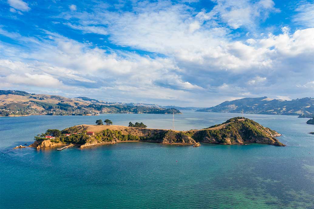 An island holiday - in Dunedin