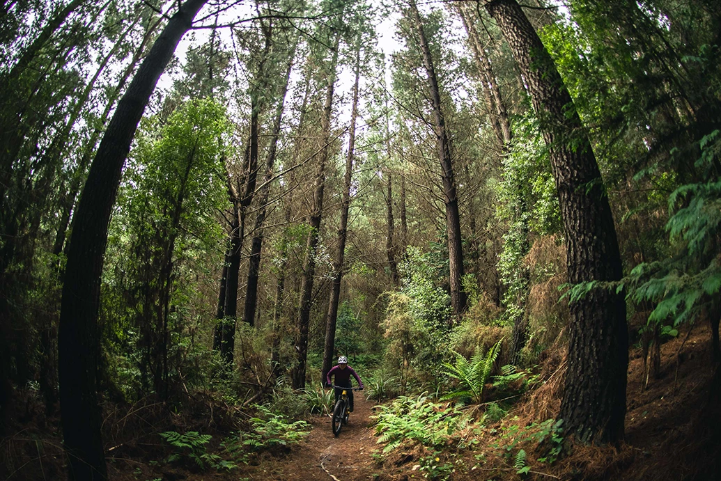 Whare Flat MTB Whare Flat MTB