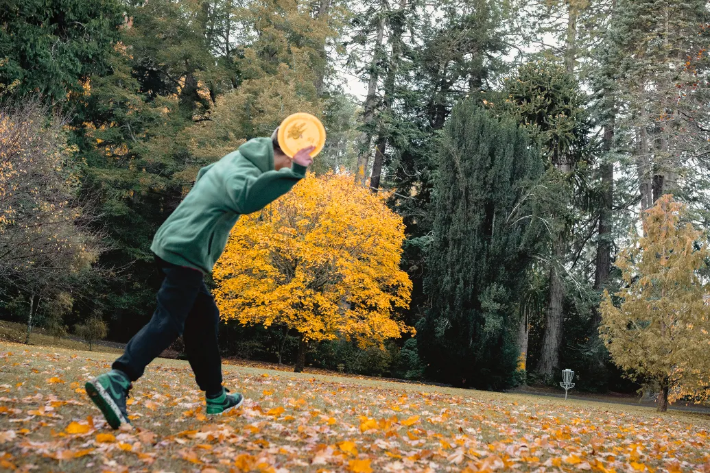 Frisbee Golf Dunedin