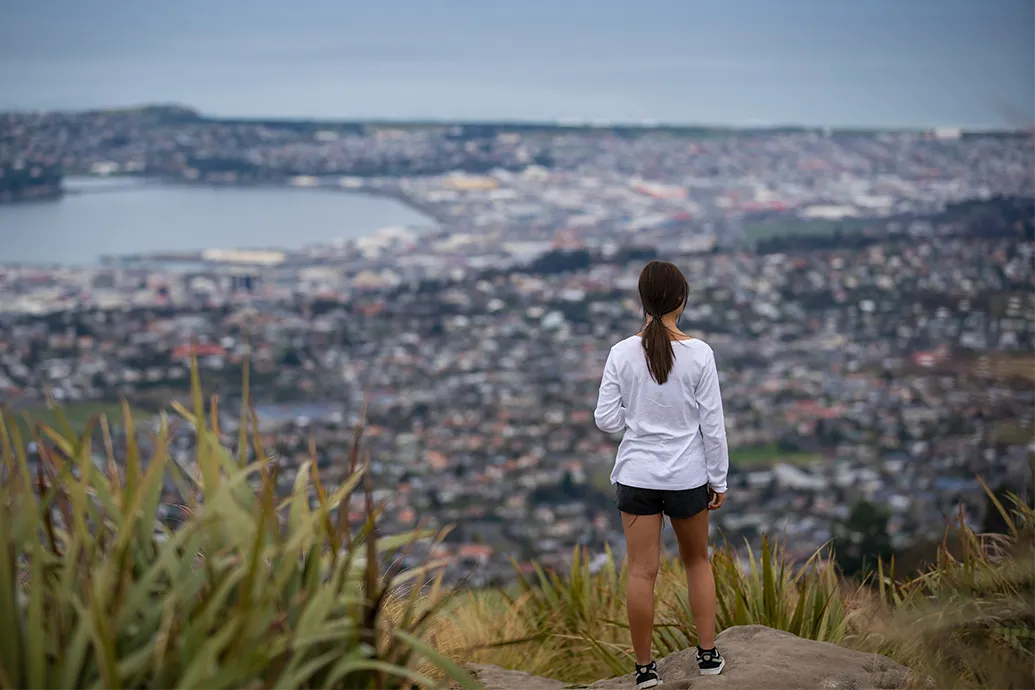 Hiking Dunedin