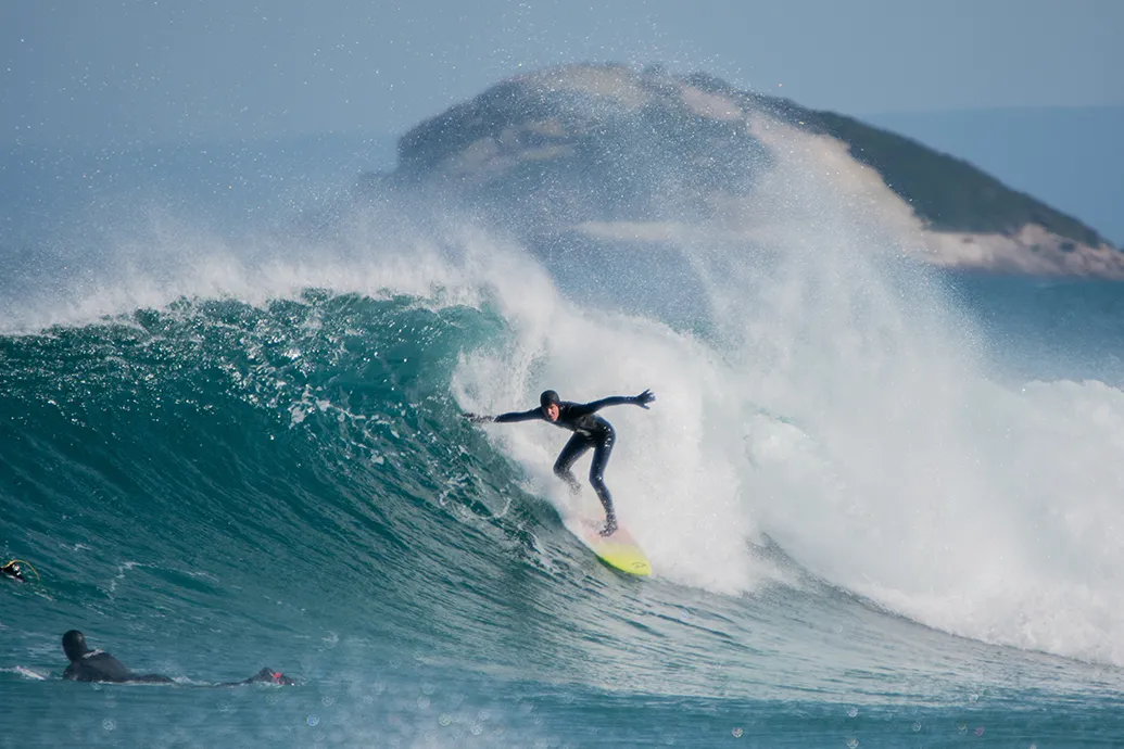 Surfing in Dunedin