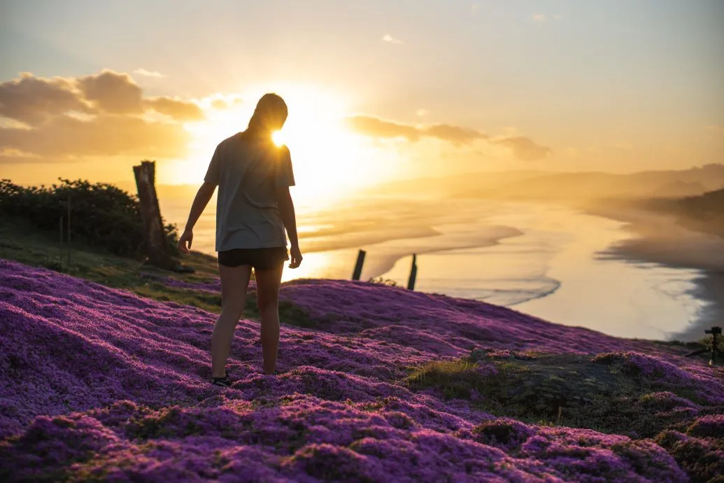 Spring Flower Finder Blackhead A teenage girl walks over purple flowers during sunset at Blackhead Beach.